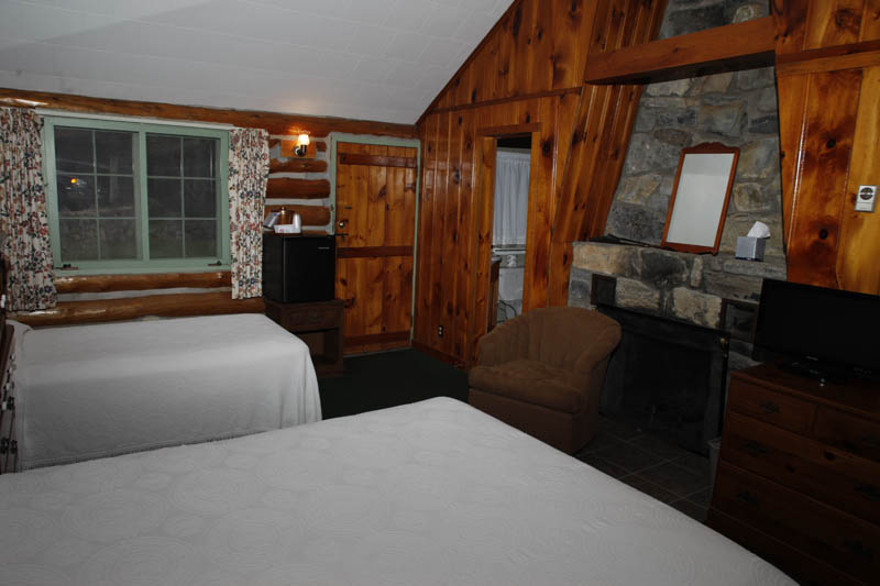 Adirondack Log Cabin room with fireplace, wood walls and 2 beds