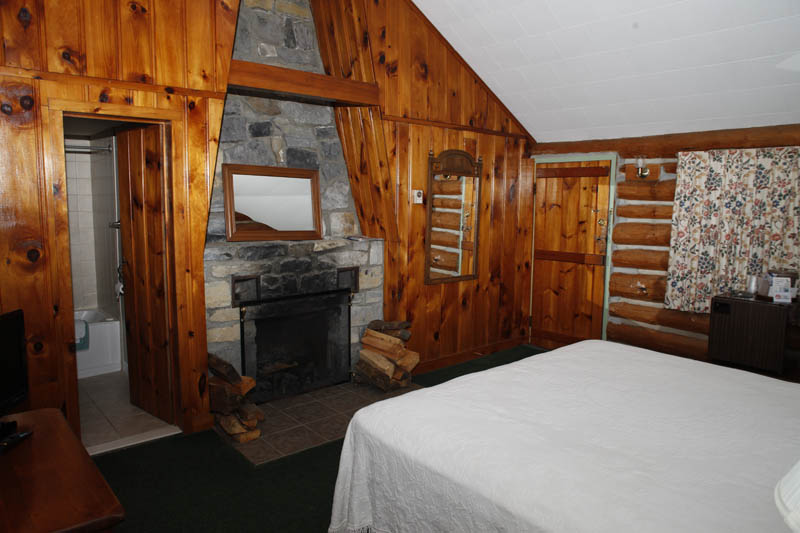 Adirondack Log Cabin with stone fireplace